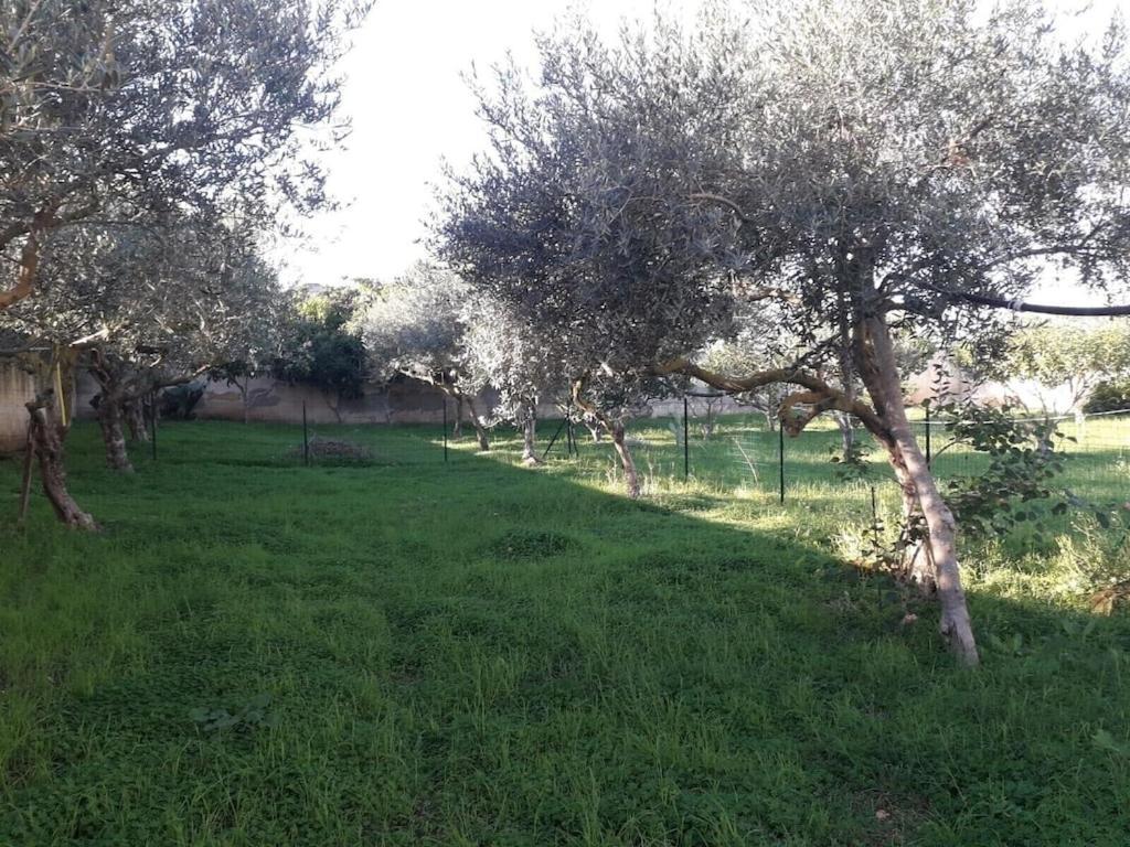 Villa Singola A 1300 Mt Dal Mare Mazara del Vallo Dış mekan fotoğraf